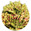Pemba (Mkoani)